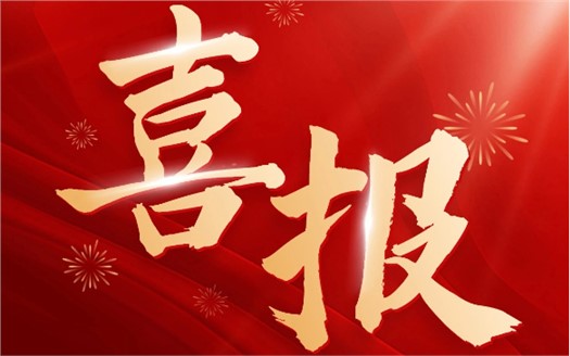 集团荣膺2025中国民营企业500强第249位，制造业民营企业500强第177位，排名较去年双双大幅提升